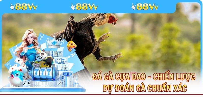 Đá Gà Cựa Dao - Chiến Lược Dự Đoán Gà Thắng Chuẩn Xác